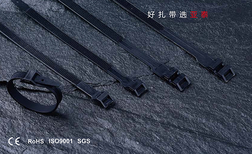 DOUBLE LOCKING CABLE TIES